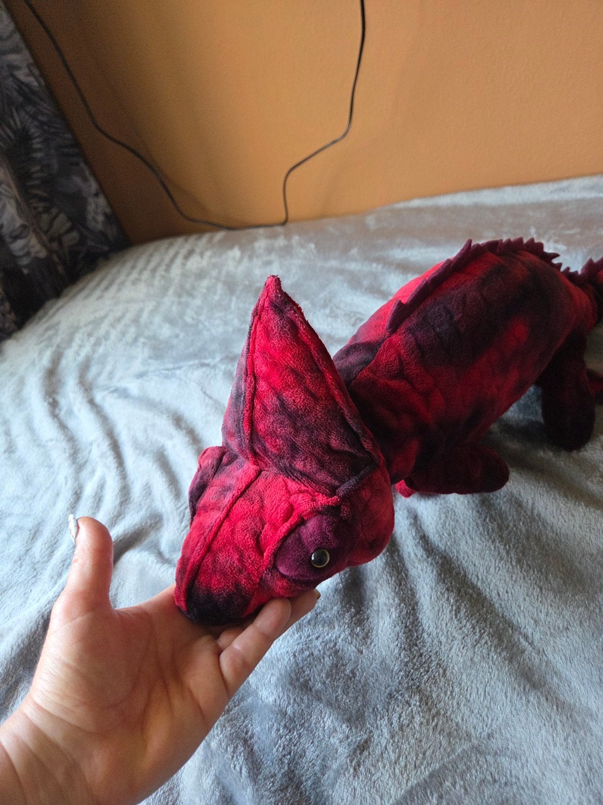 Salamander, Ophalen