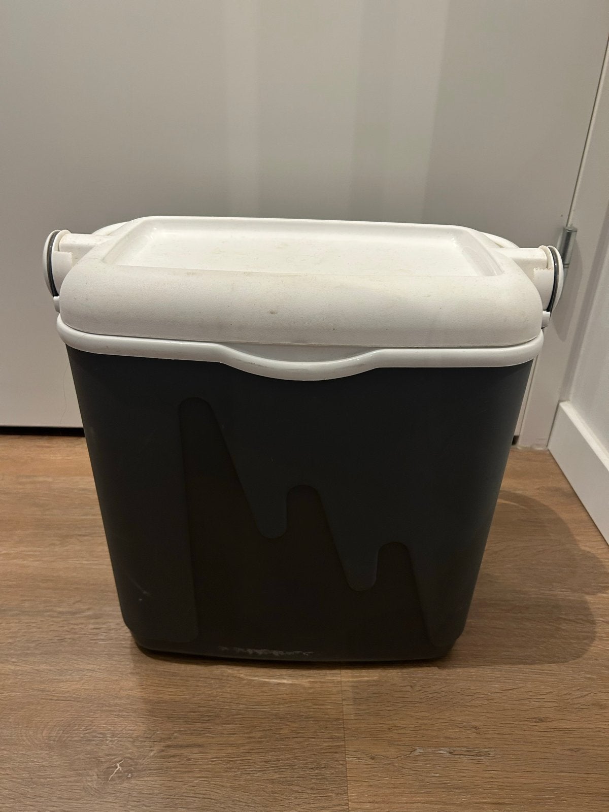 Handige koelbox voor onderweg - wit/grijs, Caravans en Kamperen, Ophalen, Gebruikt, Koelbox, Koelelement