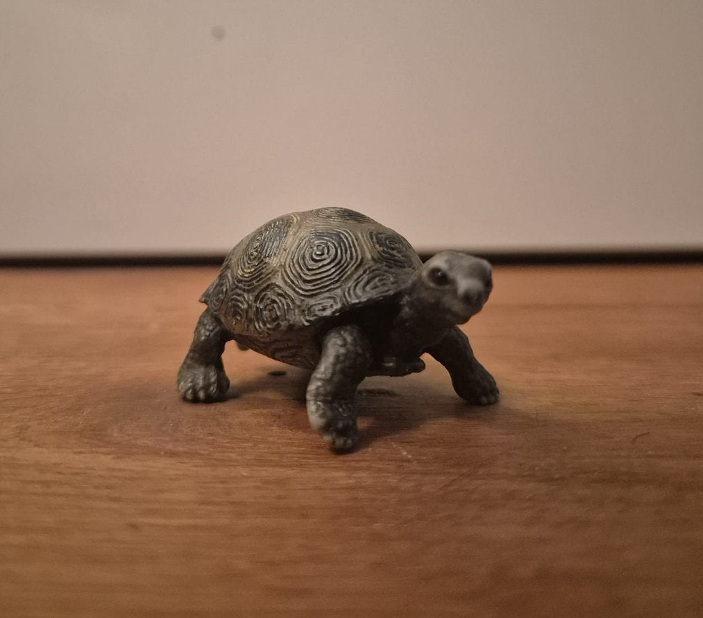 Schleich schildpad, Verzamelen, Dierenverzamelingen, Ophalen of Verzenden, Zo goed als nieuw, Beeldje of Figuurtje