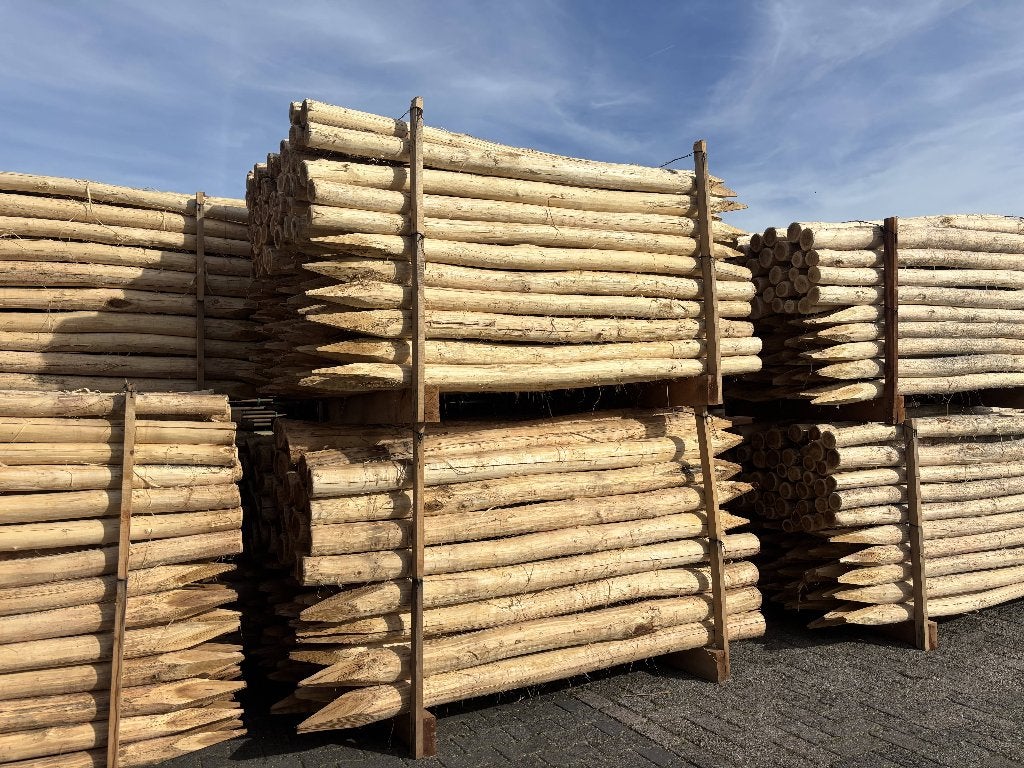 Kastanje Palen | Robinia palen | Direct uit voorraad, Ophalen, Nieuw, 250 cm of meer, Palen
