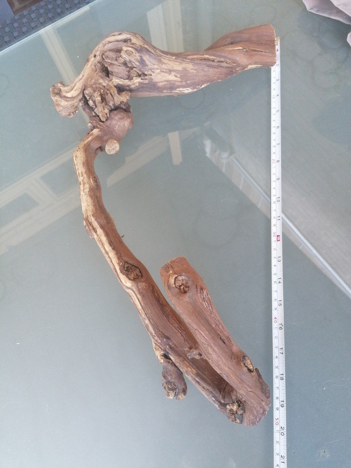 aquarium /terarium/hamster hout, Ophalen, Plant(en), Steen of Hout