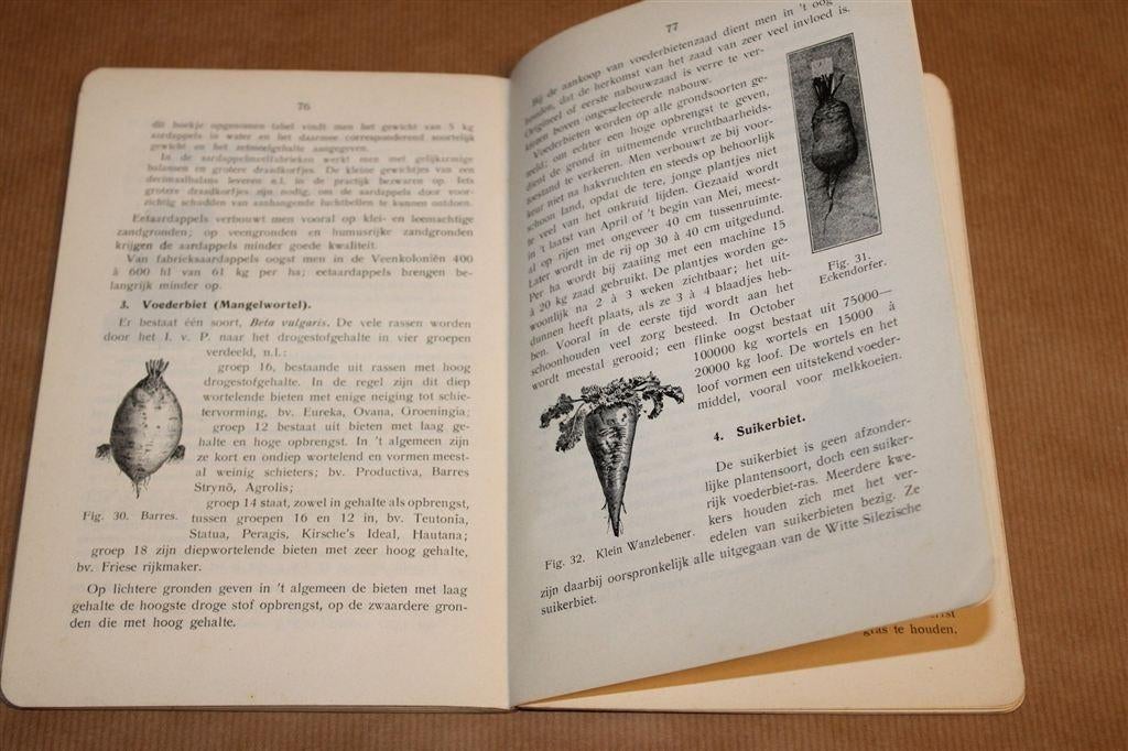 Plantenteelt — Kok & Sneeuw Handboek 1936, Ophalen of Verzenden, Gelezen, Tuinieren en Tuinplanten