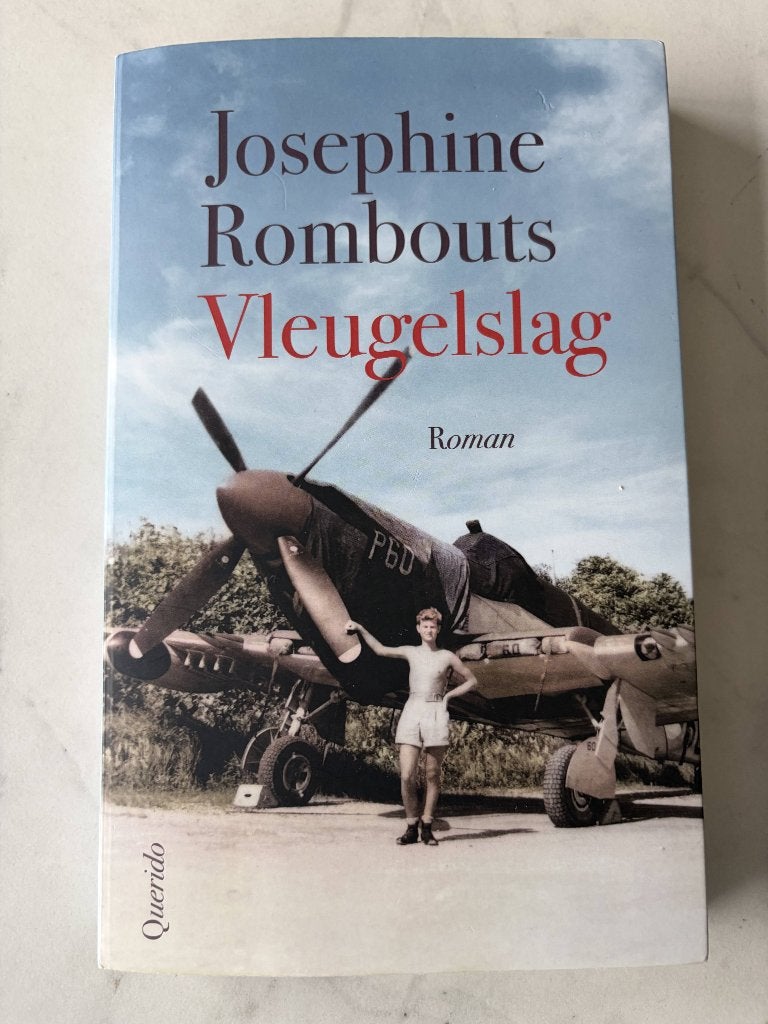 Vleugelslag - Josephine Rombouts, Ophalen of Verzenden, Zo goed als nieuw, Josephine Rombouts, Nederland