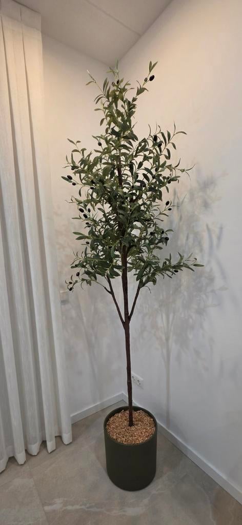 Kunst olijfboom 210cm, Ophalen