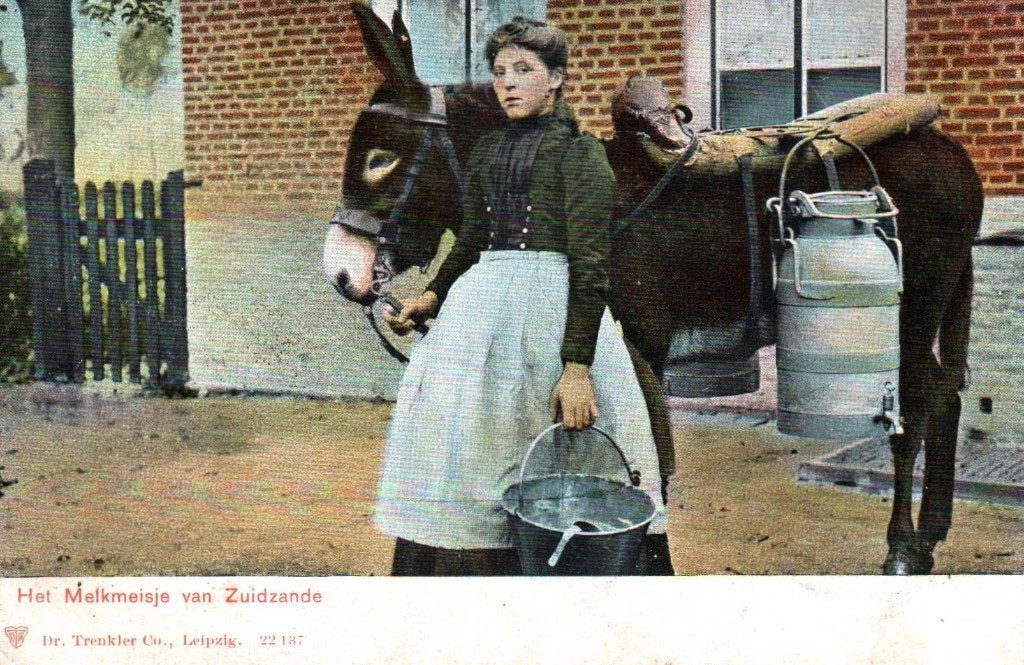 Ansichtkaart Zuidzande, Ophalen of Verzenden, Zeeland