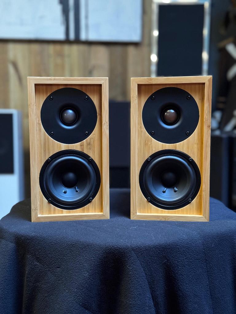 iFi audio Retro LS3.5, Audio, Tv en Foto, Gebruikt, Minder dan 60 watt, Front, Rear of Stereo speakers, Ophalen