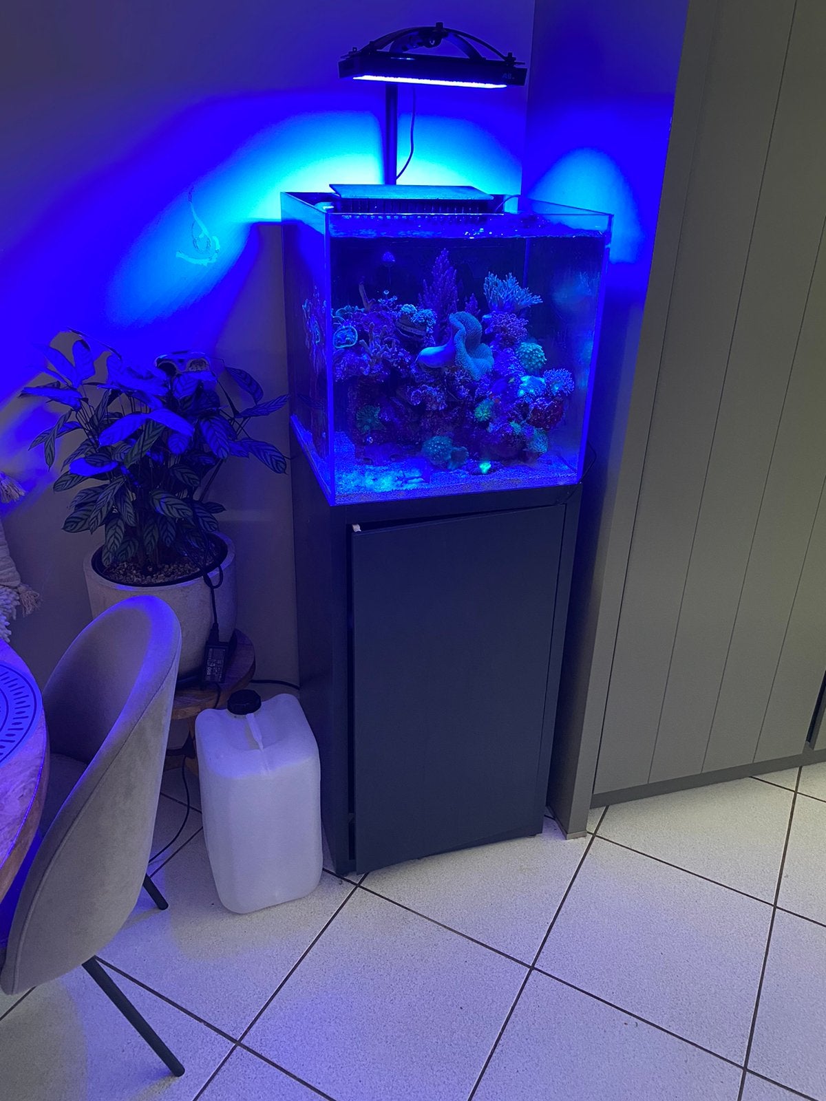Zee aquarium - Compleet. 50x50x50 op kast, Ophalen of Verzenden, Zo goed als nieuw, Leeg aquarium