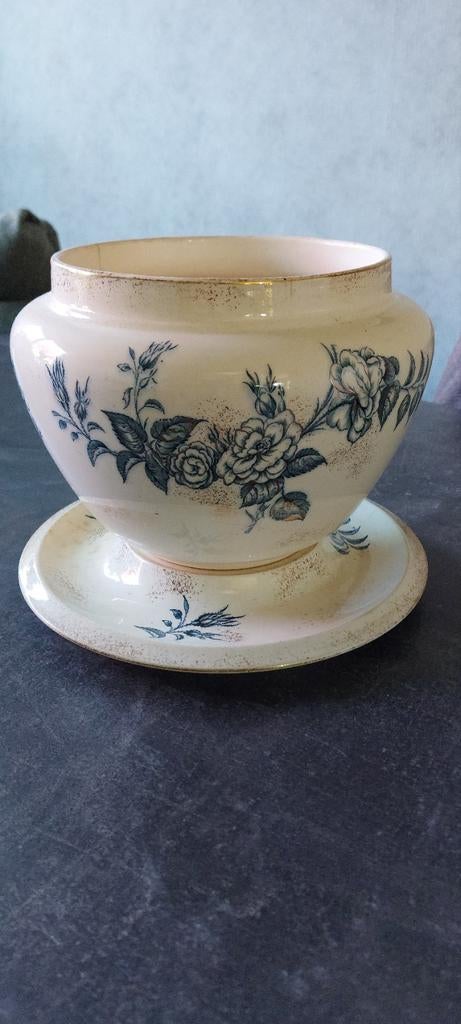 Bloempot Petrus Regout, Ophalen of Verzenden