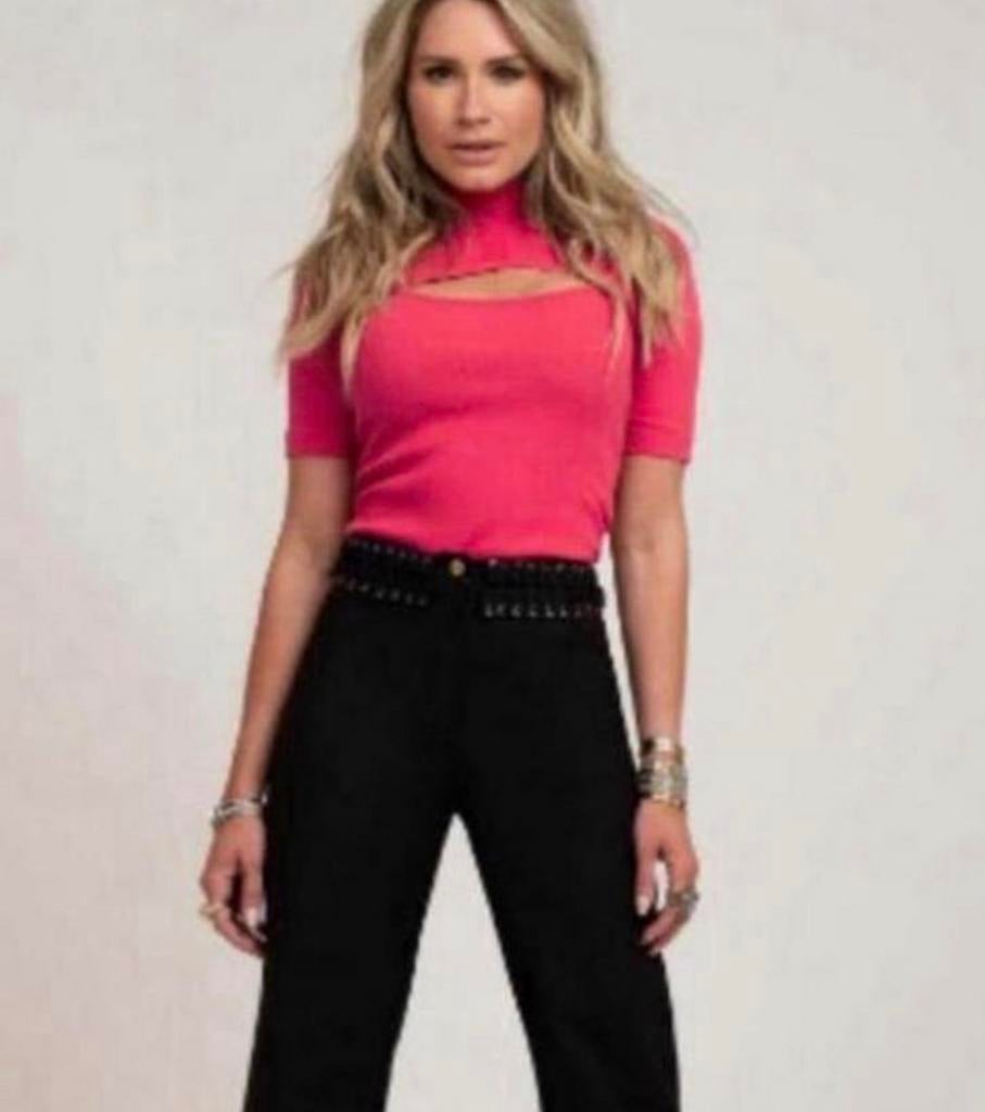 Nikkie Kate Moss roze top, Nieuw, Ophalen of Verzenden, Roze, Maat 34 (XS) of kleiner
