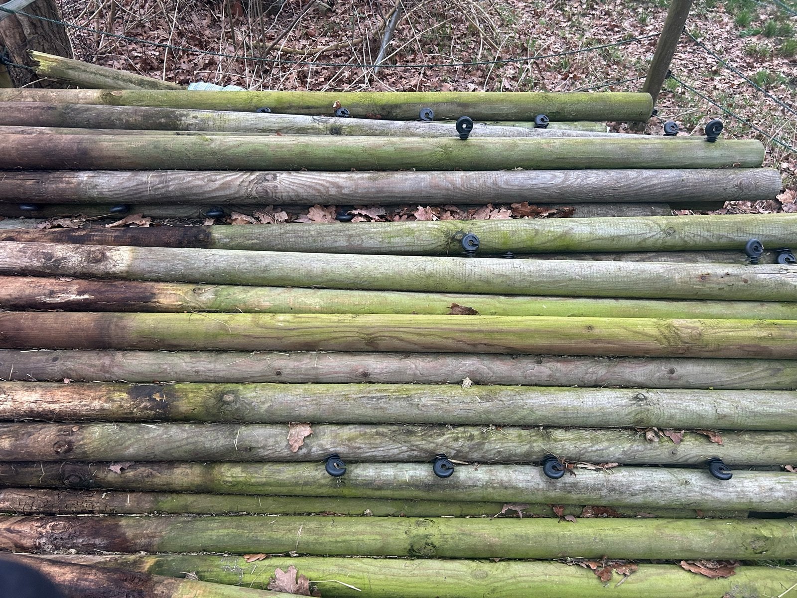 Weidepalen, 20 stuks, mogen ook los weg, Ophalen, Gebruikt, 180 tot 250 cm, Palen
