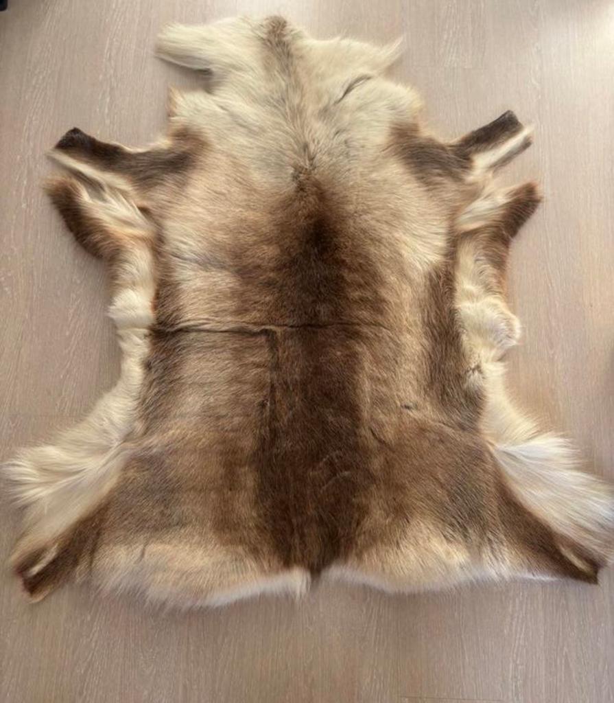 Prachtig rendiervel - Natuurlijke decoratie, Ophalen, 100 tot 150 cm, 50 tot 100 cm, Zo goed als nieuw