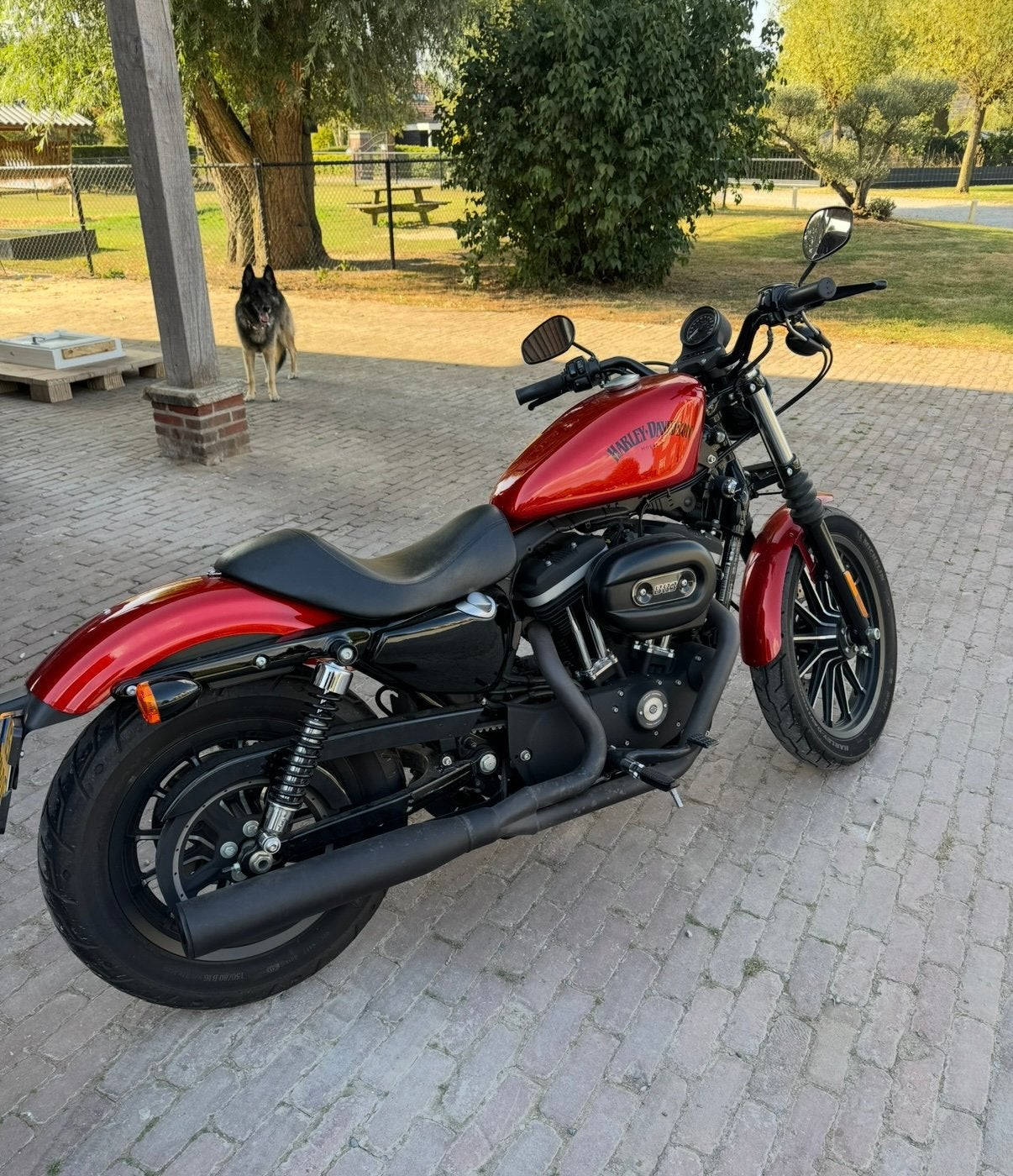 Harley-Davidson Iron 883, 2 cilinders, Chopper, 883 cc, Particulier