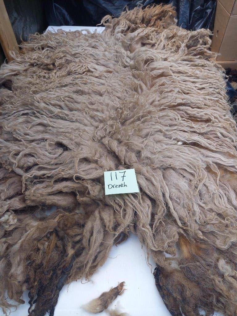 nr 117 Geschoren vacht van Drents Heideschaap, Ophalen of Verzenden, Gebruikt