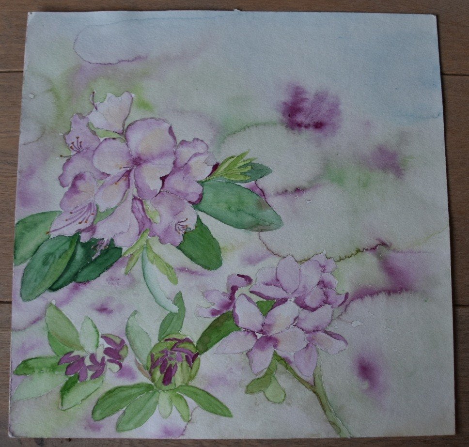 Handgemaakte aquarel: Paarse Rhododendron (40x40cm), Realistisch, Aquarel, Origineel werk, Papier