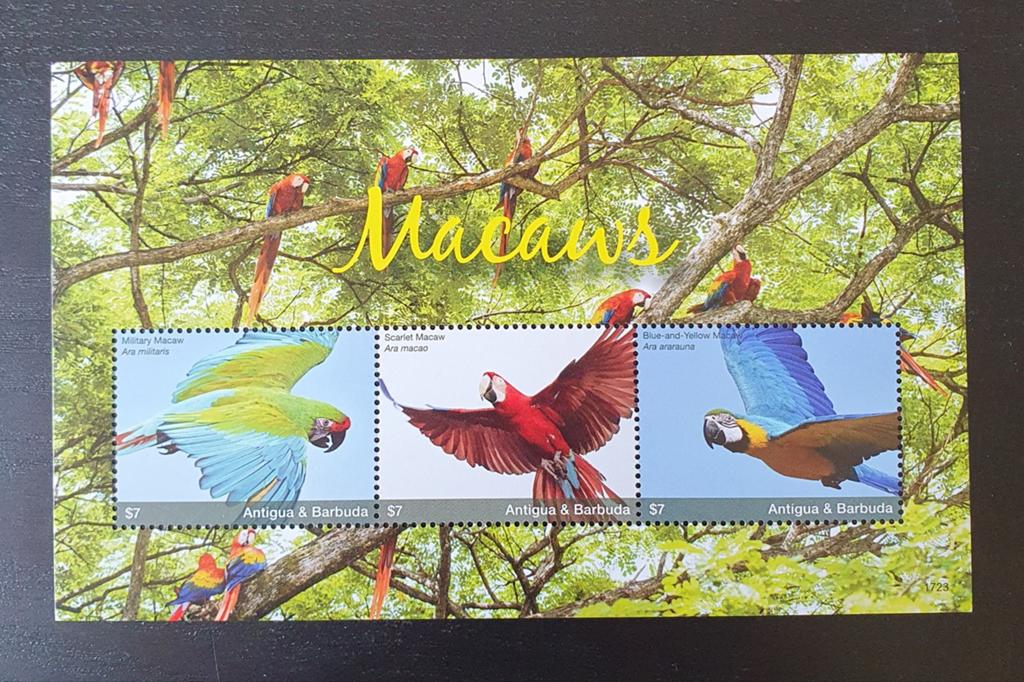 Antigua & Barbuda 2017 Vogels Ara Macaw Michel 5546-5548 pf, Verzenden, Postfris, Dier of Natuur