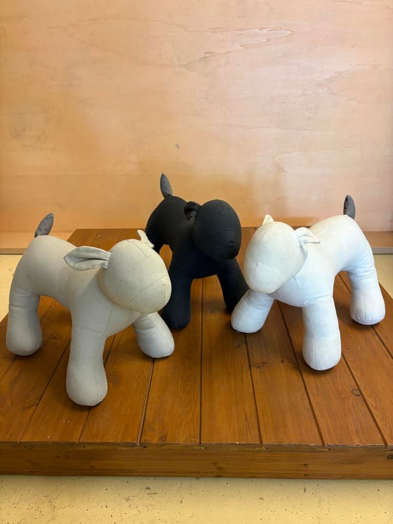 Honden paspop/mannequin, Dieren en Toebehoren, Ophalen, Zo goed als nieuw