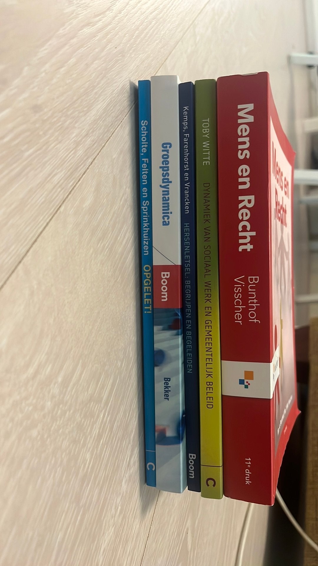 Boeken social work, Boeken, Schoolboeken, Zo goed als nieuw, Overige vakken, Overige niveaus, Ophalen