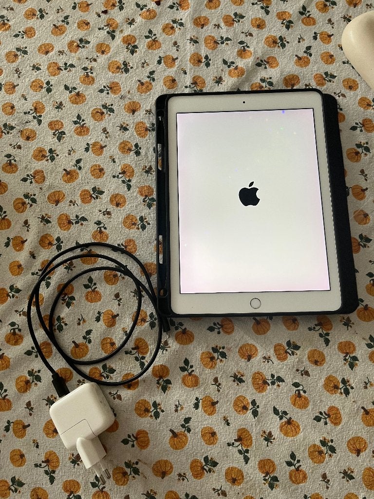 Foto 9 van iPad Pro 2016 (9,7 inch)