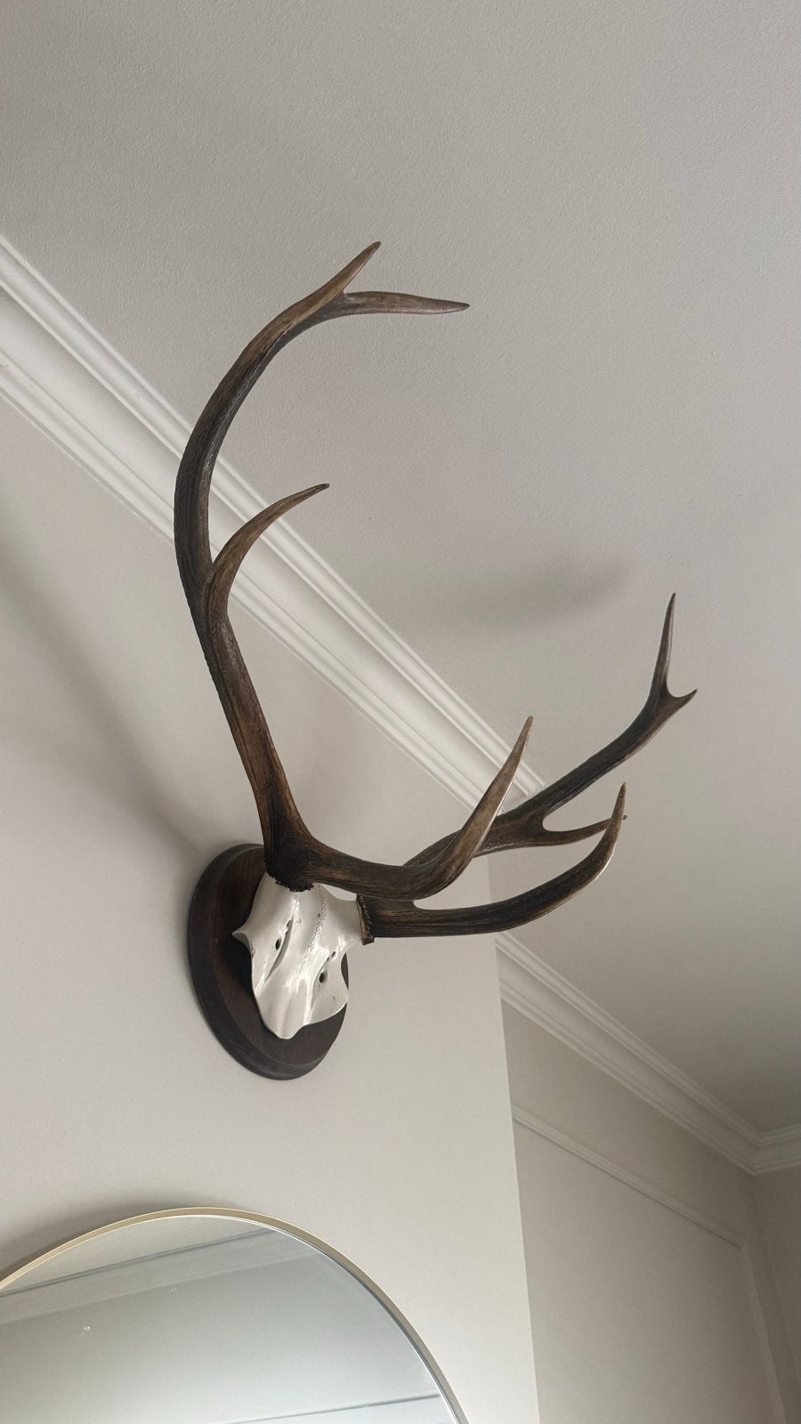 Groot hertengewei op schild - Vintage wanddecoratie, Ophalen of Verzenden