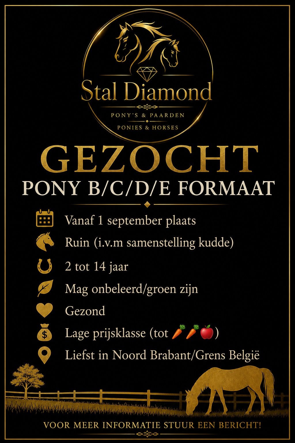 Pony gezocht!