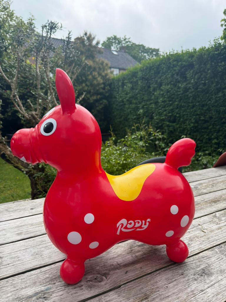 Rody Springpaard - Plezier en Beweging voor Elk Kind, Ophalen, Gebruikt, Jongen of Meisje