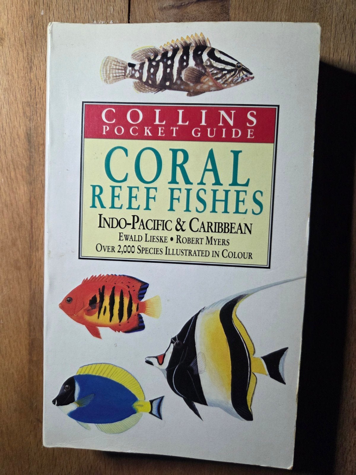 Coral Reef Fishes, Watersport en Boten, Ophalen of Verzenden