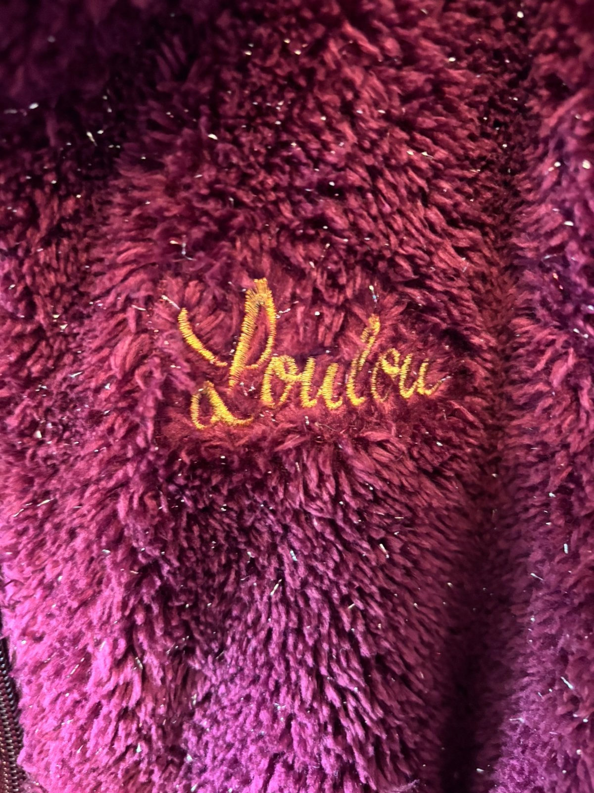 Vest paardrijden Harry’s horse bordeaux met glitter maat 152, Ophalen of Verzenden, Nieuw, Kinderen, Bovenkleding