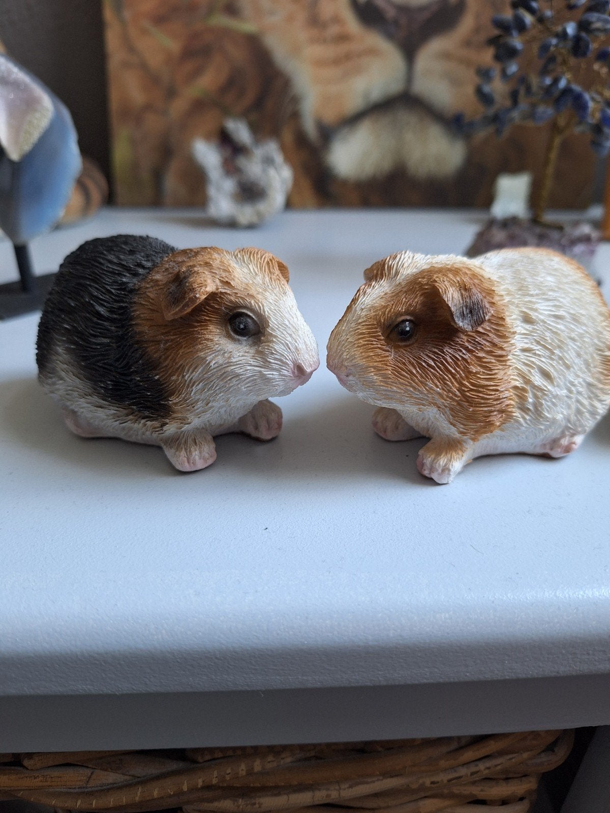 2 cavia's, Ophalen, Zo goed als nieuw