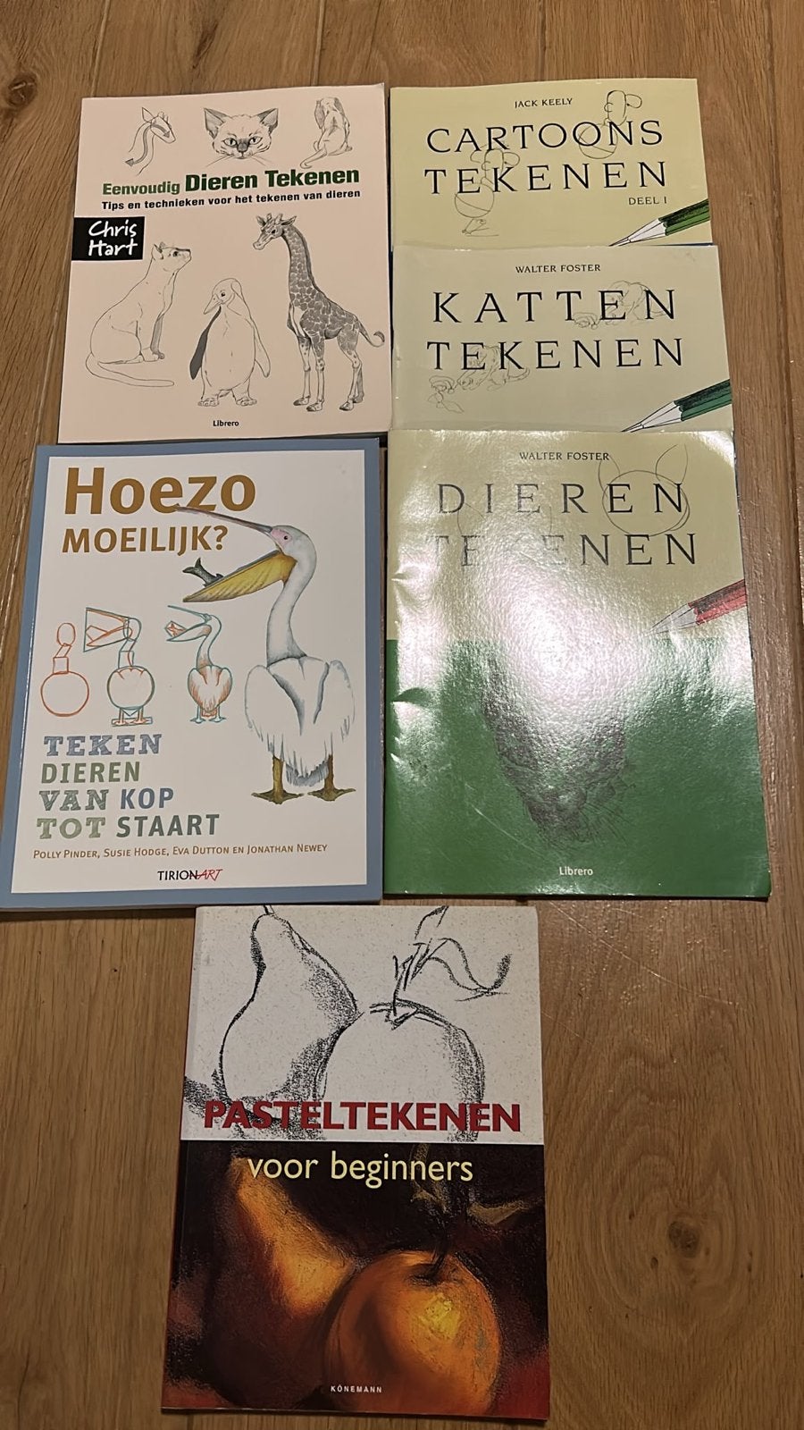 Tekenen voor beginners: Dieren, Cartoons, Pastel, Ophalen of Verzenden, Gelezen, Schilder- en Tekenkunst