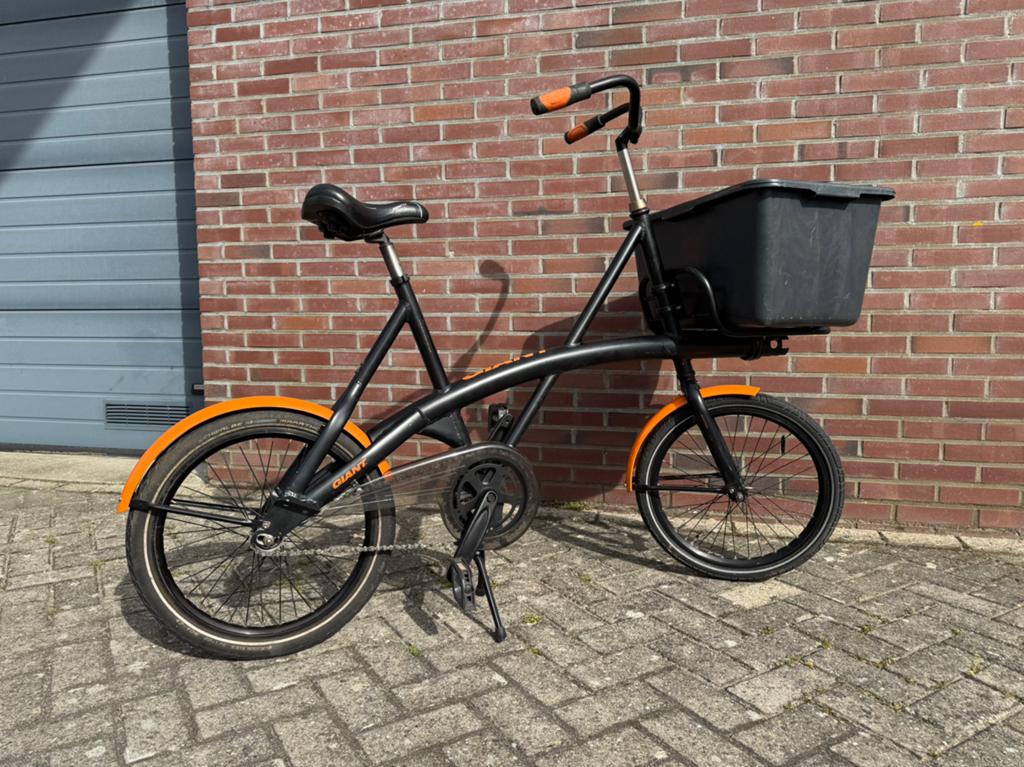 Zo goed als nieuwe GIANT Bakfiets Hondenfiets Transportfiets, Ophalen, Zo goed als nieuw, Giant