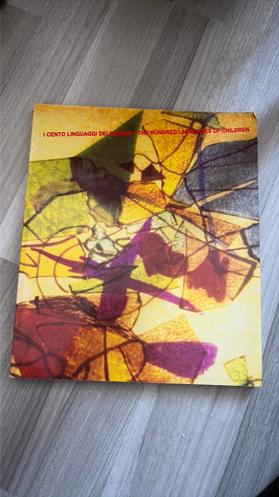 The hundred languages of children Reggio Emilia, Ophalen of Verzenden, Gelezen