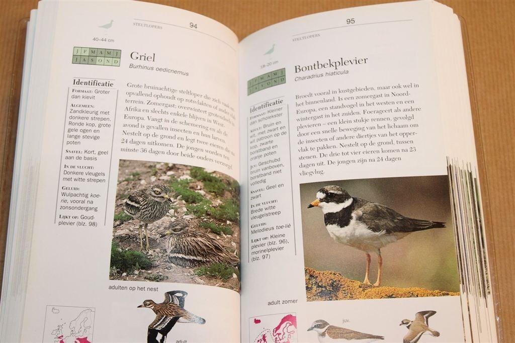 Vogels — ANWB Veldgids voor Herkenning, Boeken, Ophalen of Verzenden, Gelezen, Vogels