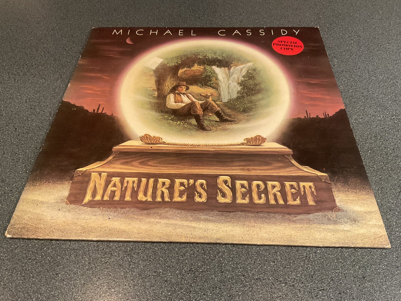 Michael Cassidy - Nature’s secret Vinyl LP, Ophalen of Verzenden, Gebruikt, 12 inch