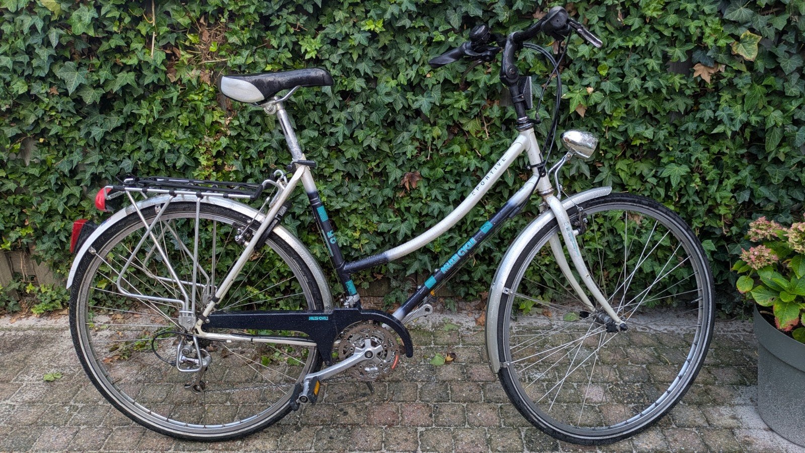 Multicycle damesfiets - Alles werkt naar behoren, Velgrem, Versnellingen, Ophalen, Overige merken