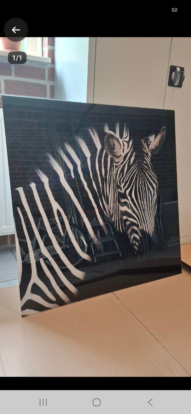 Countryfield plexi glas schilderij zebra zwart wit, Ophalen