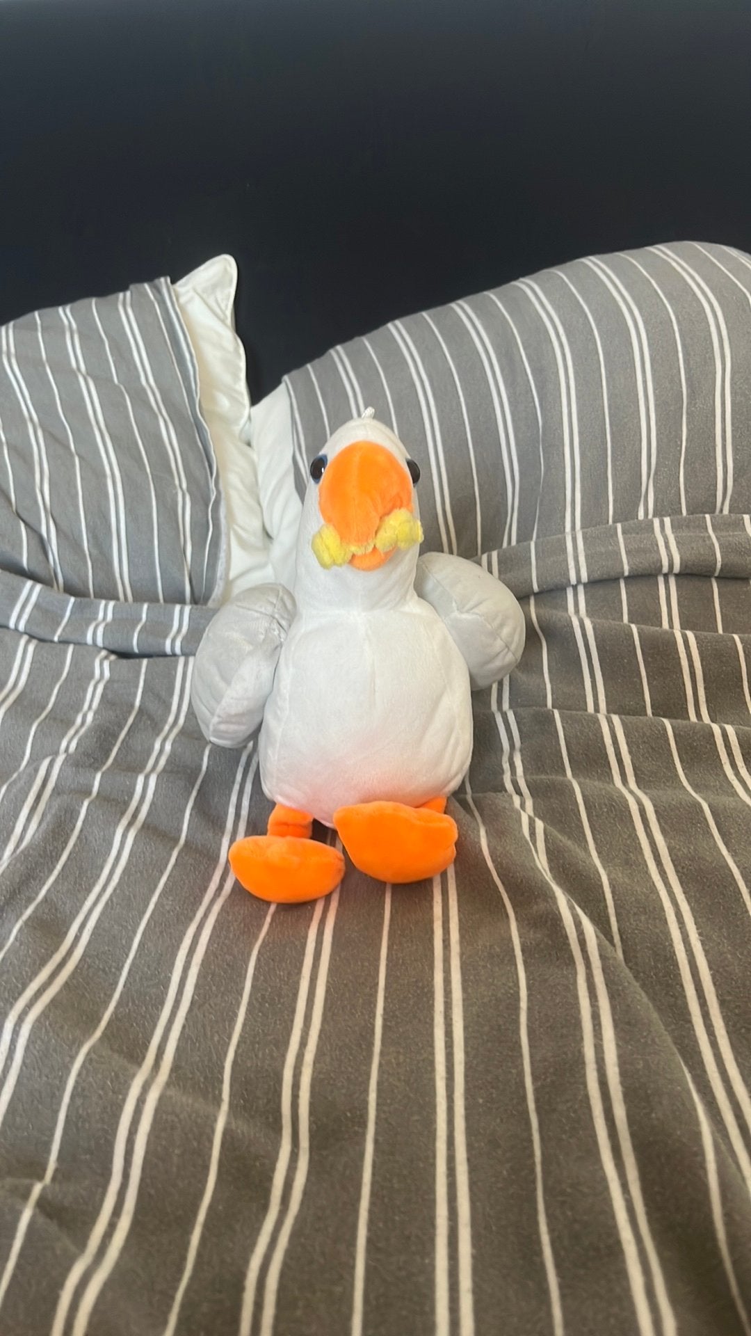 Meeuw te koop (nieuw), Ophalen, Overige merken, Overige karakters, Overige typen