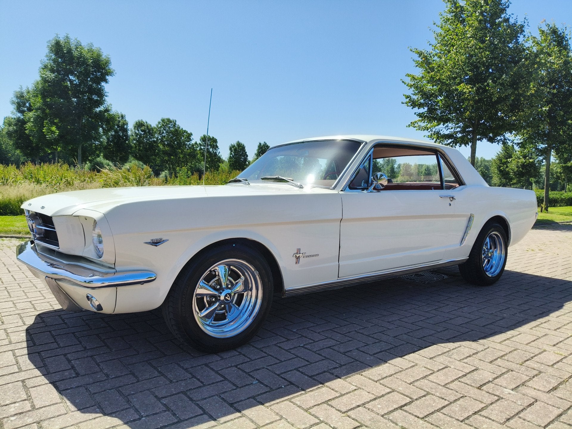 Ford Mustang HARDTOP V8 COUPE A CODE! (bj 1965, automaat), foto 4