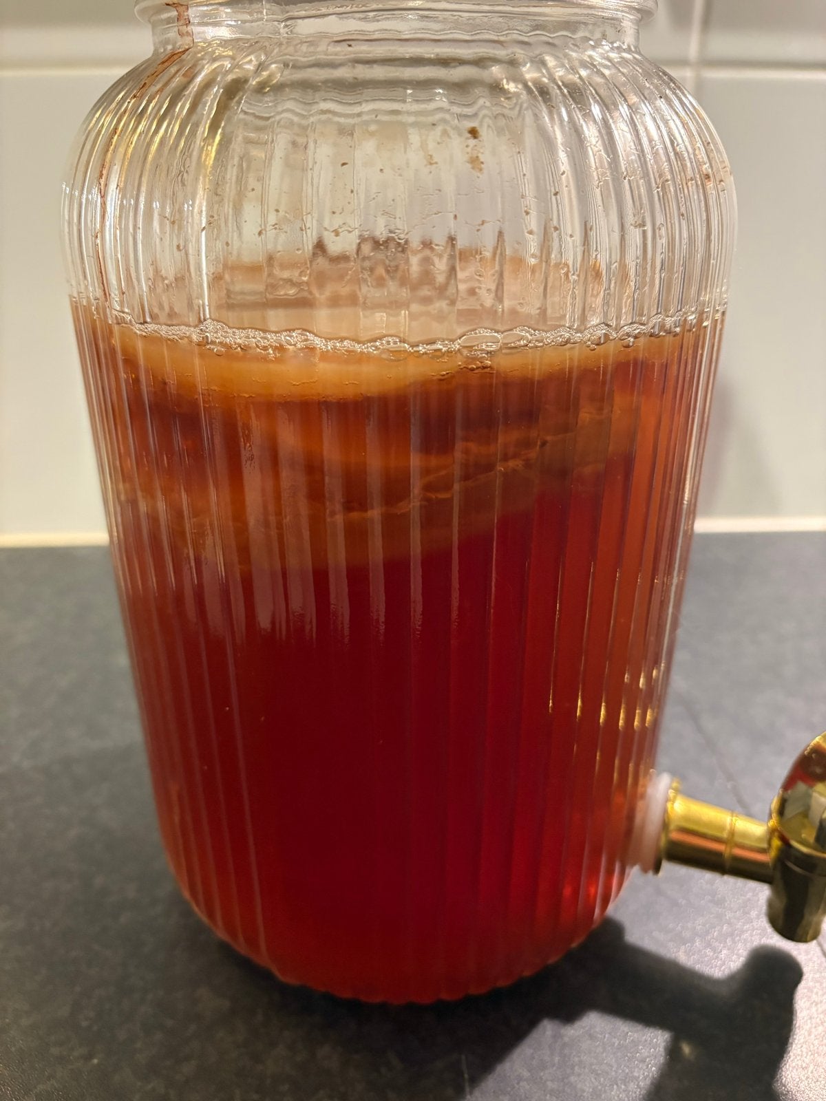 Kombucha Scoby - Zelf Kombucha Maken, Ophalen