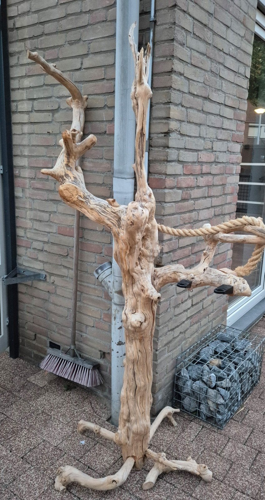 Prachtige grote Javaboom, Meerdere dieren, Parkiet