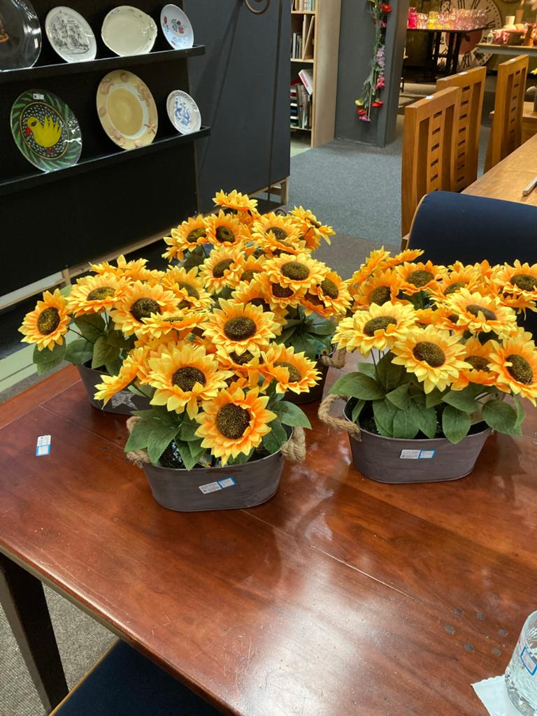 Zinken pot met 2 potjes zonnebloemen, Meerkleurig, W, Ophalen of Verzenden, W