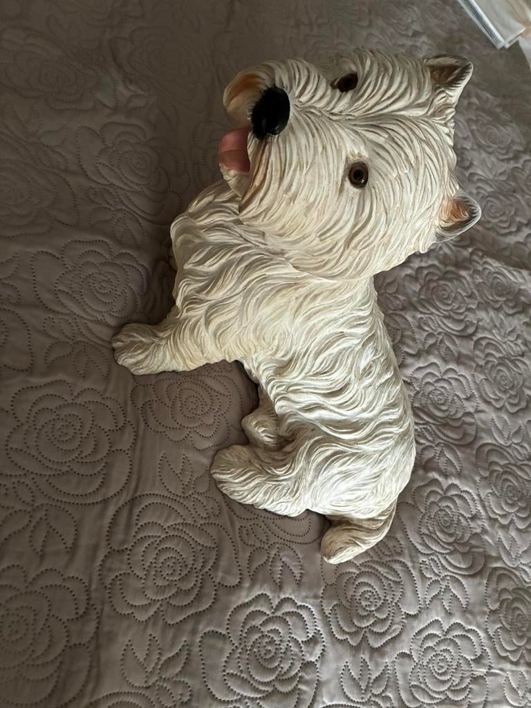 West highland  white terrier, Ophalen, Zo goed als nieuw