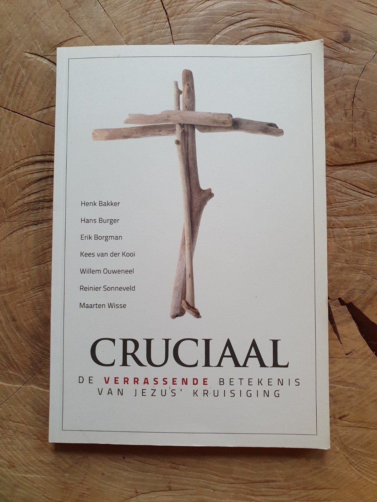 Erik Borgman - Cruciaal, Ophalen of Verzenden, Zo goed als nieuw, Erik Borgman; Henk Bakker; Kees van der Kooi; Maarten Wisse; ...