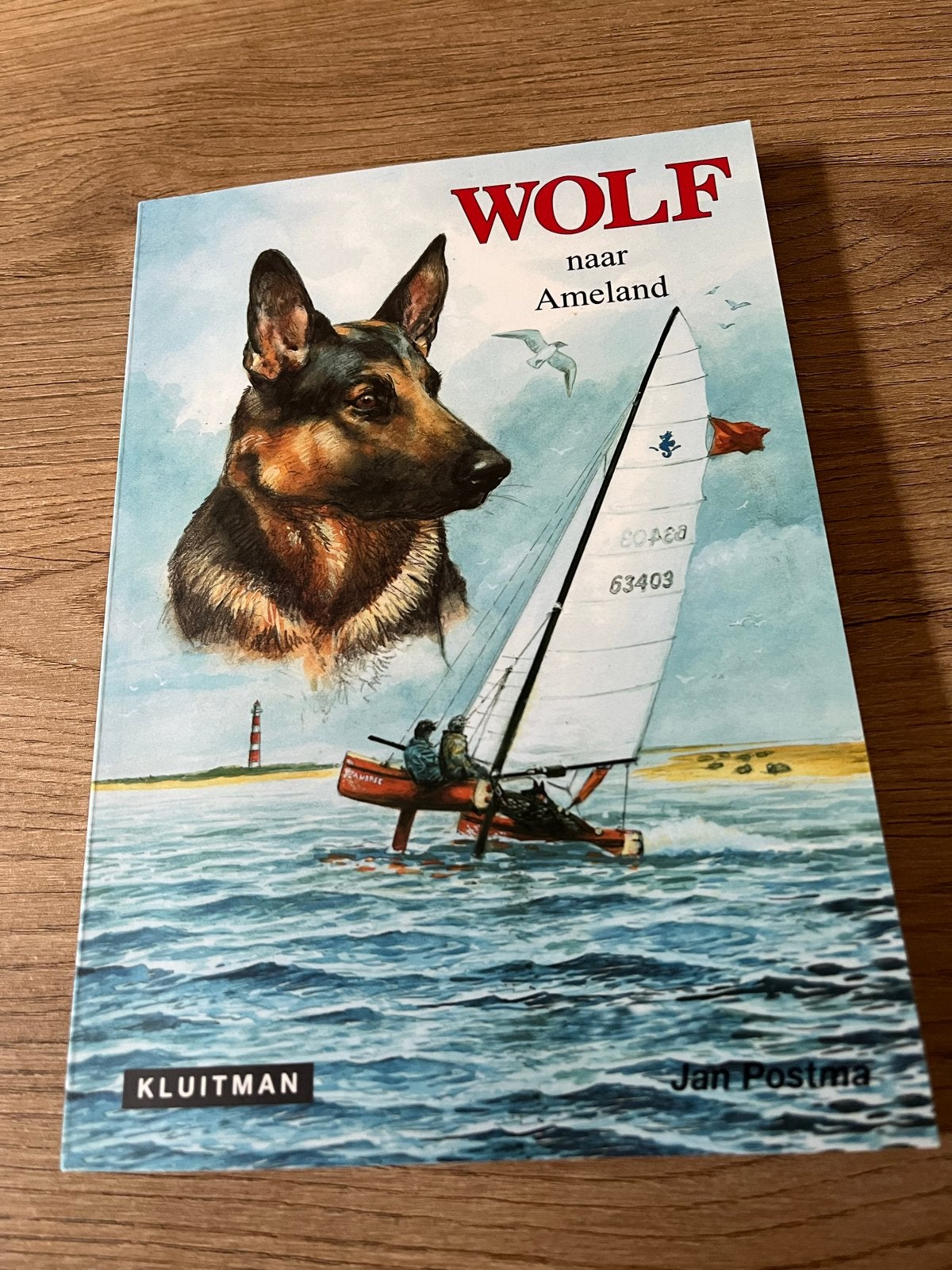 Wolf naar Ameland - Jan Postma (Kluitman), Boeken, Ophalen, Gelezen, Fictie algemeen