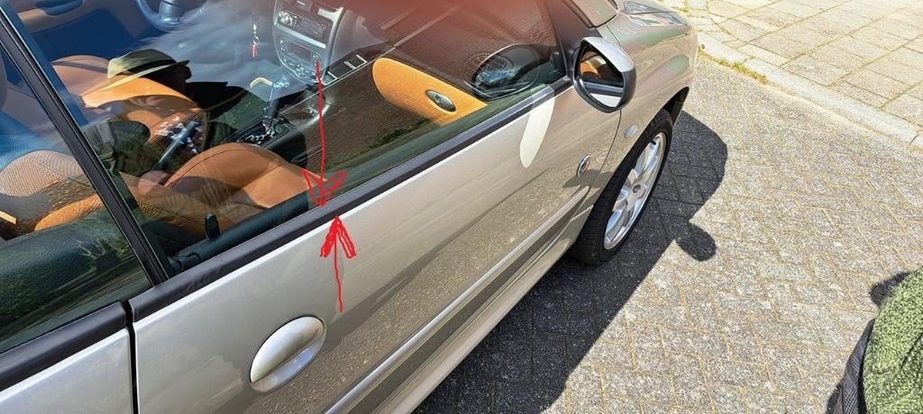 Gezocht:  deurstrip L+R van metaal Peugeot 206 cc. zie foto., Auto-onderdelen, Deur, Ophalen of Verzenden, Peugeot, Nieuw