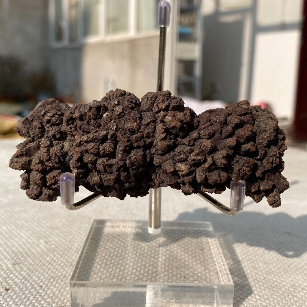 Dinosauruspoep COPROLITE (T), Ophalen of Verzenden, Fossiel