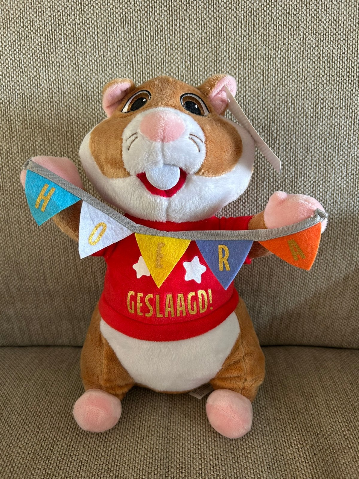 Geslaagd hamster Albert Heijn/ AH, Albert Heijn, Overige typen, Nieuw, Ophalen of Verzenden
