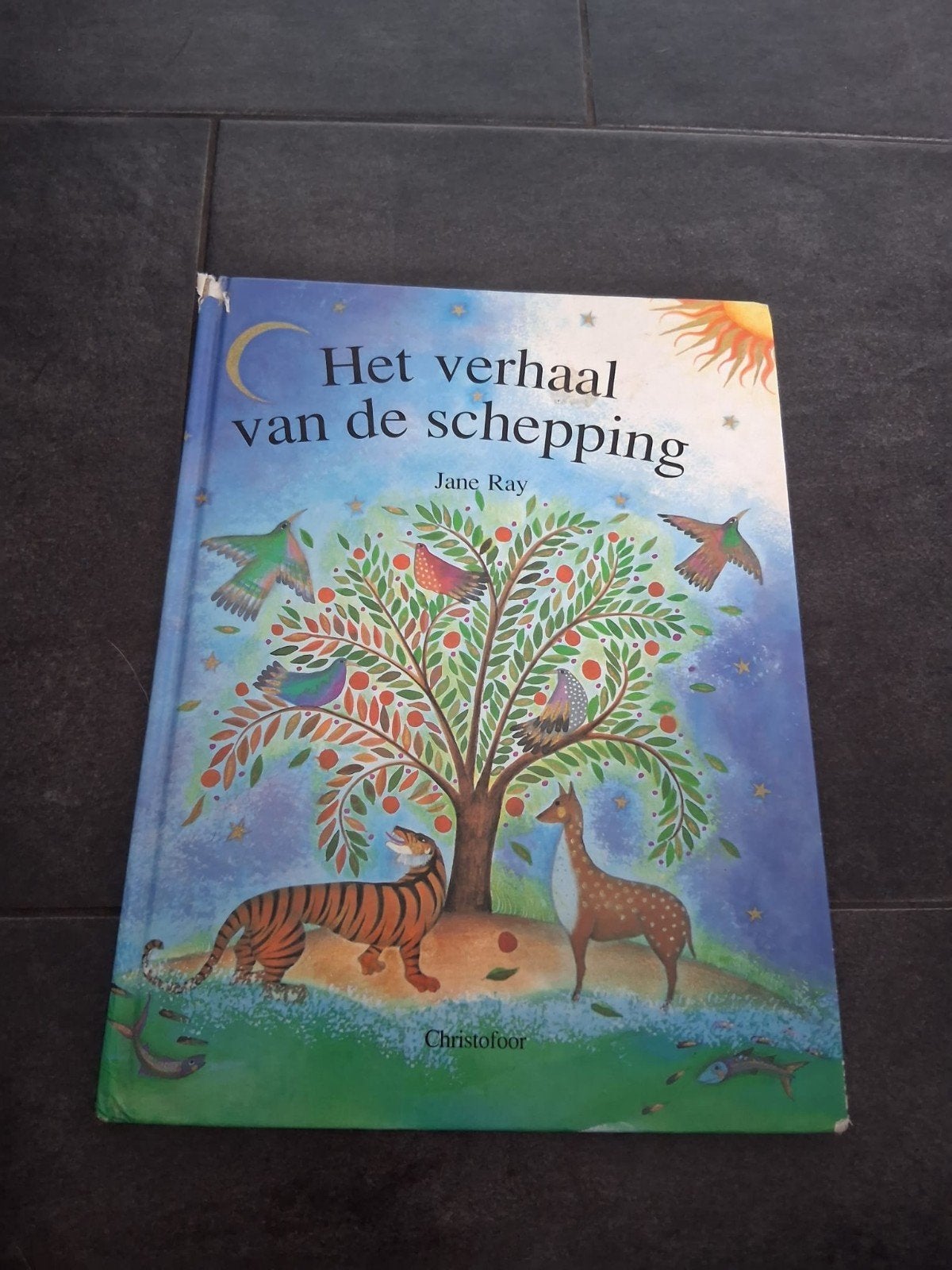 Het verhaal van de schepping - Jane Ray, Gelezen, 3 tot 4 jaar, Jane Ray, Ophalen of Verzenden