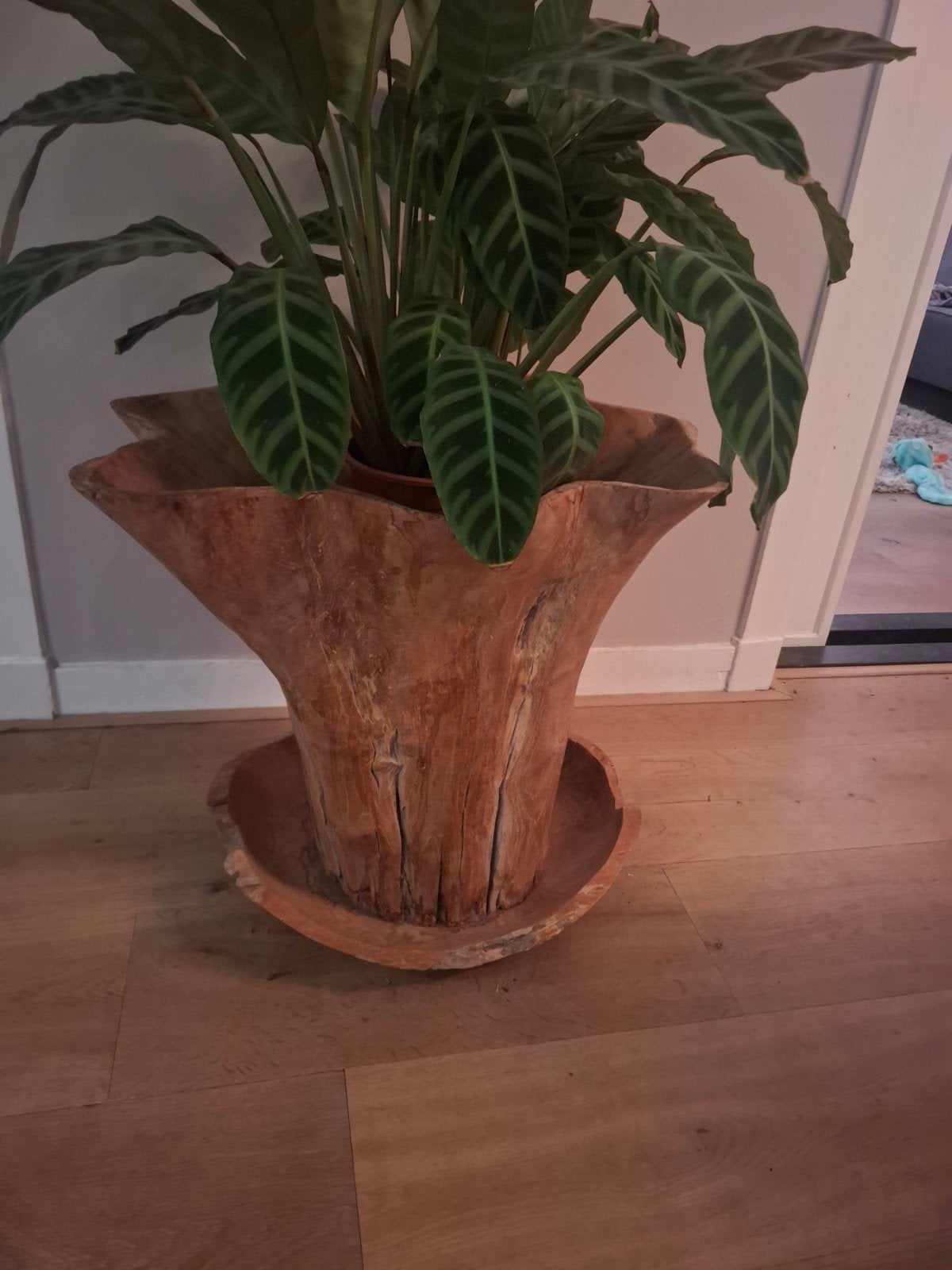 Grote houten plantenbak met schaal uit Bali, Ophalen, Gebruikt, Minder dan 60 cm, Binnen