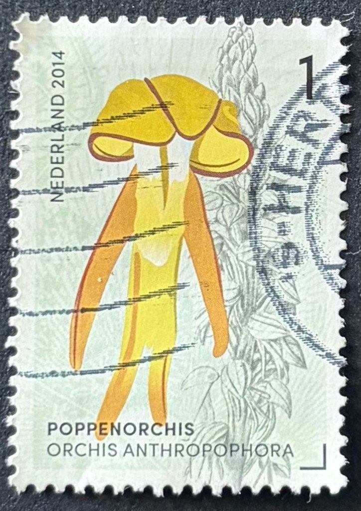 Postzegel Nederland Poppenorchis Orchidee Gerendal, Ophalen of Verzenden, Na 1940, Gestempeld