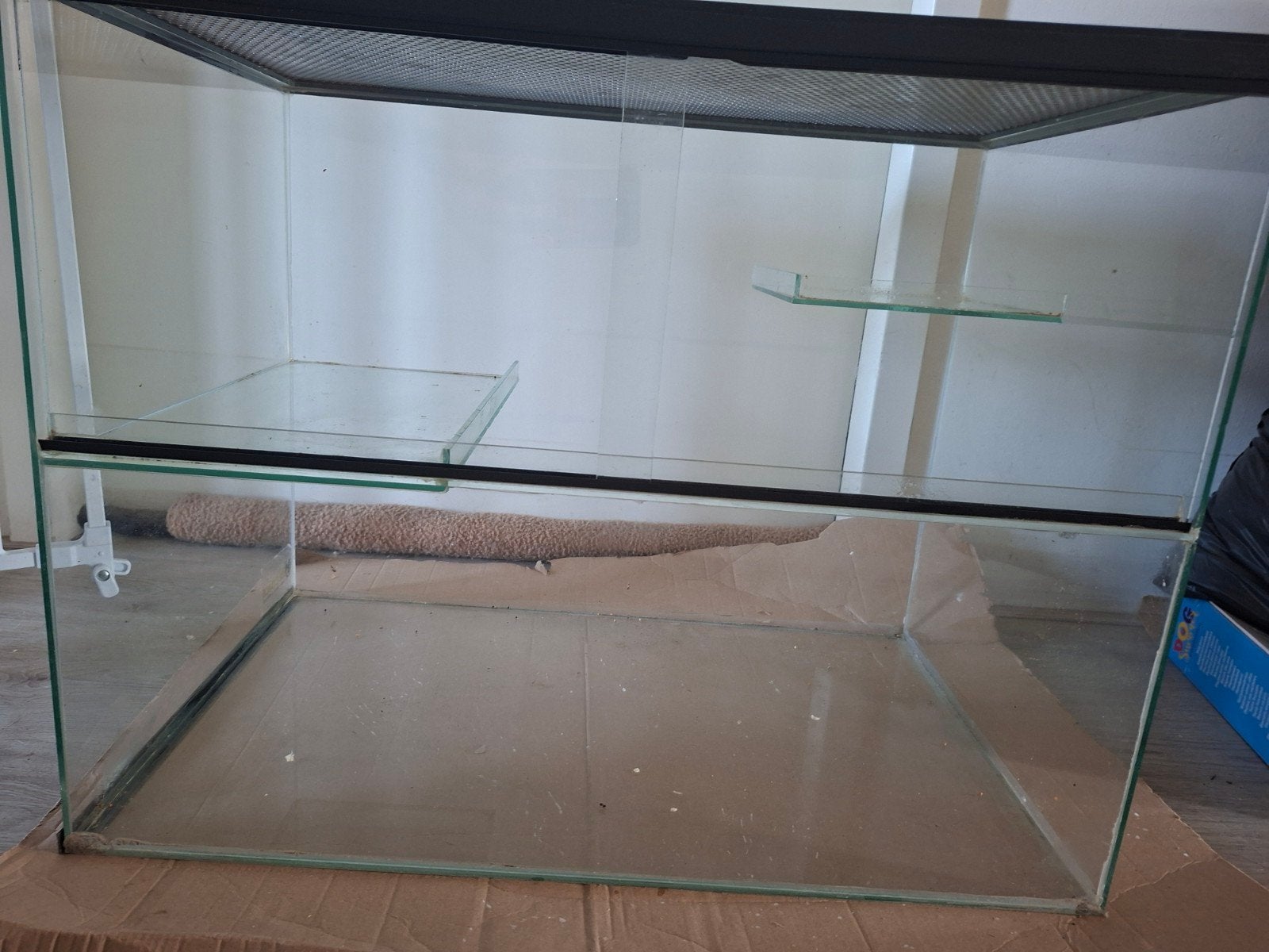 Gerbilarium, Kooi, Gebruikt, Minder dan 75 cm, Muis